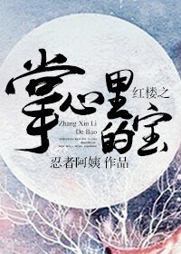 (红楼梦同人)红楼之掌心里的宝