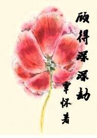 顾得深深劫